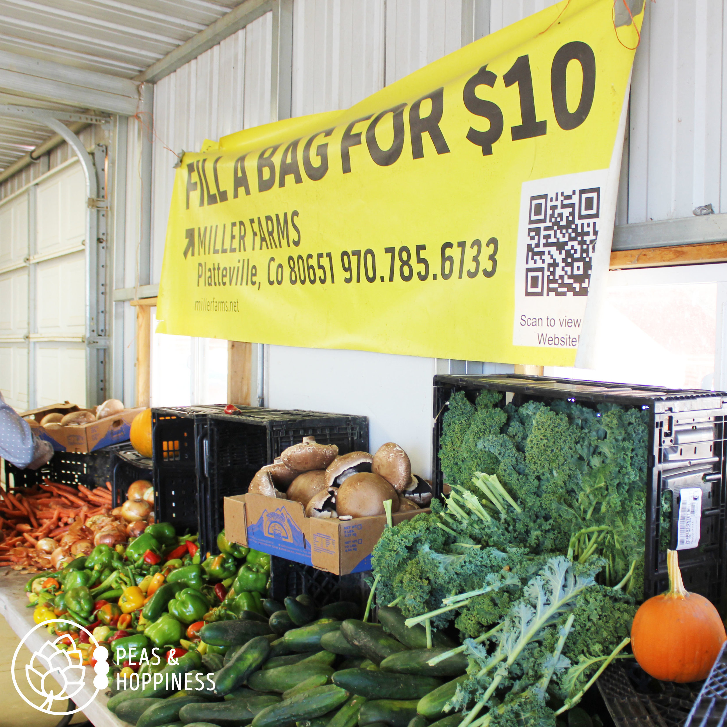 Produce at Miller Farms