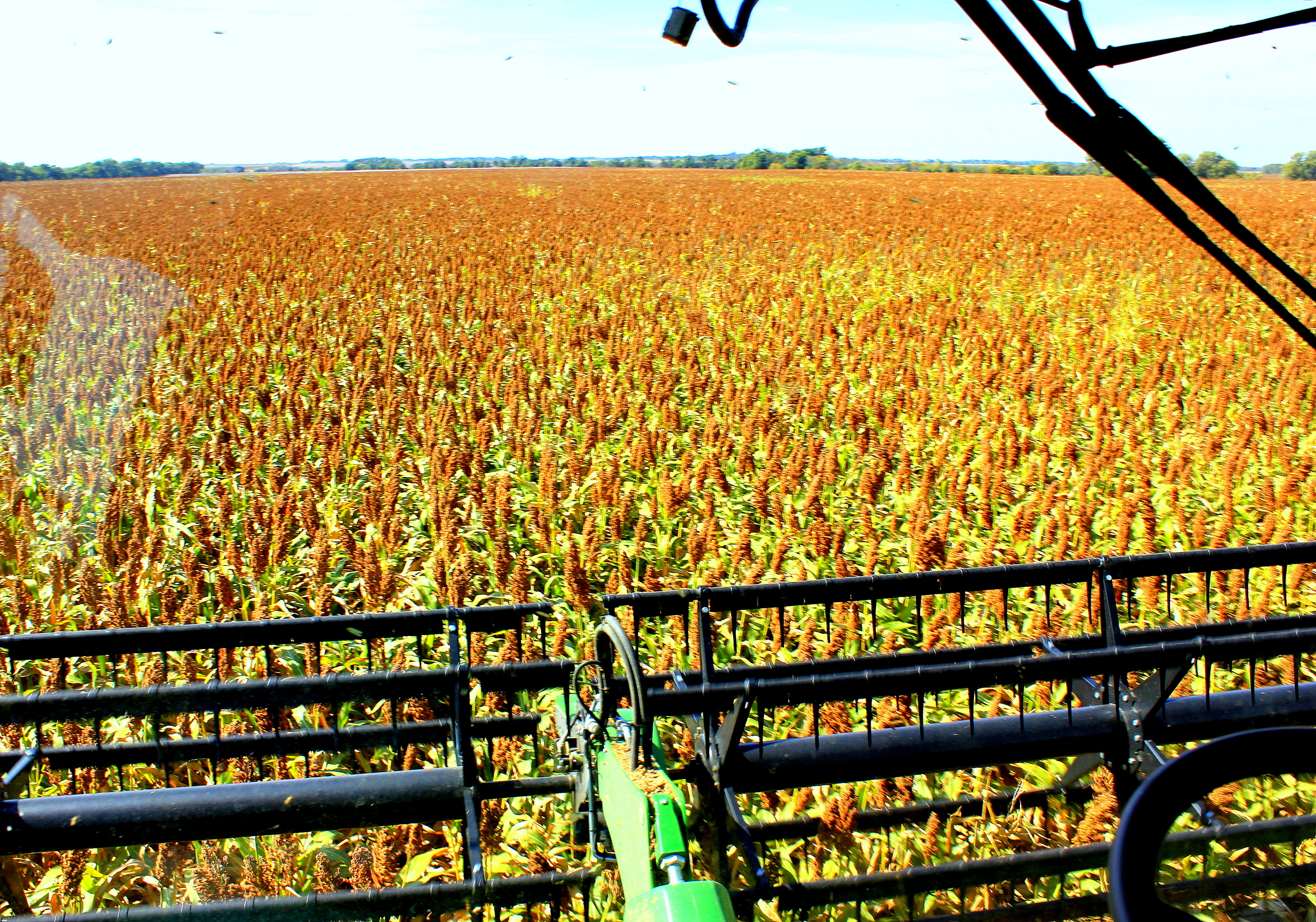 View from the cab of the combine