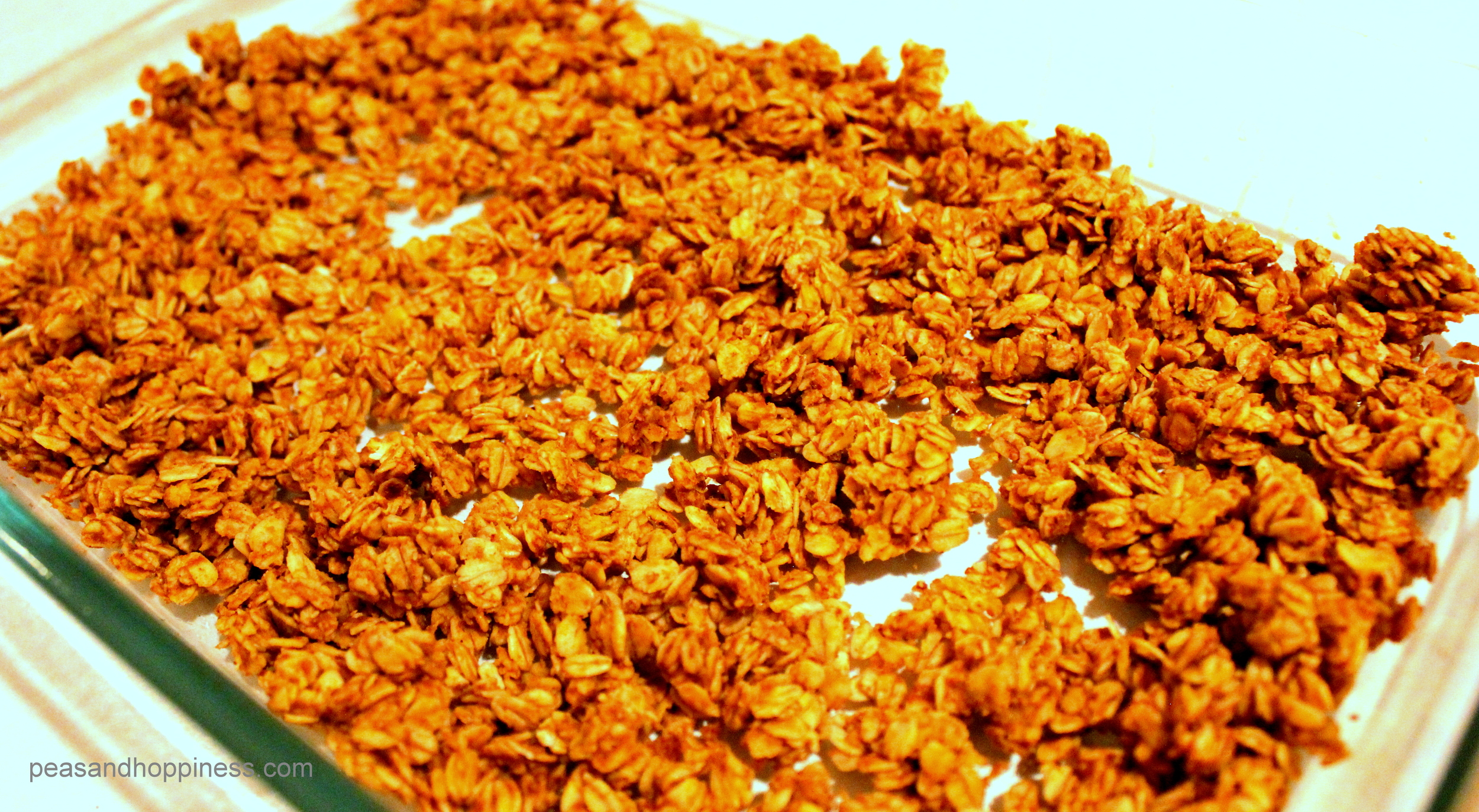Pumpkin Spice Granola sweetened with honey