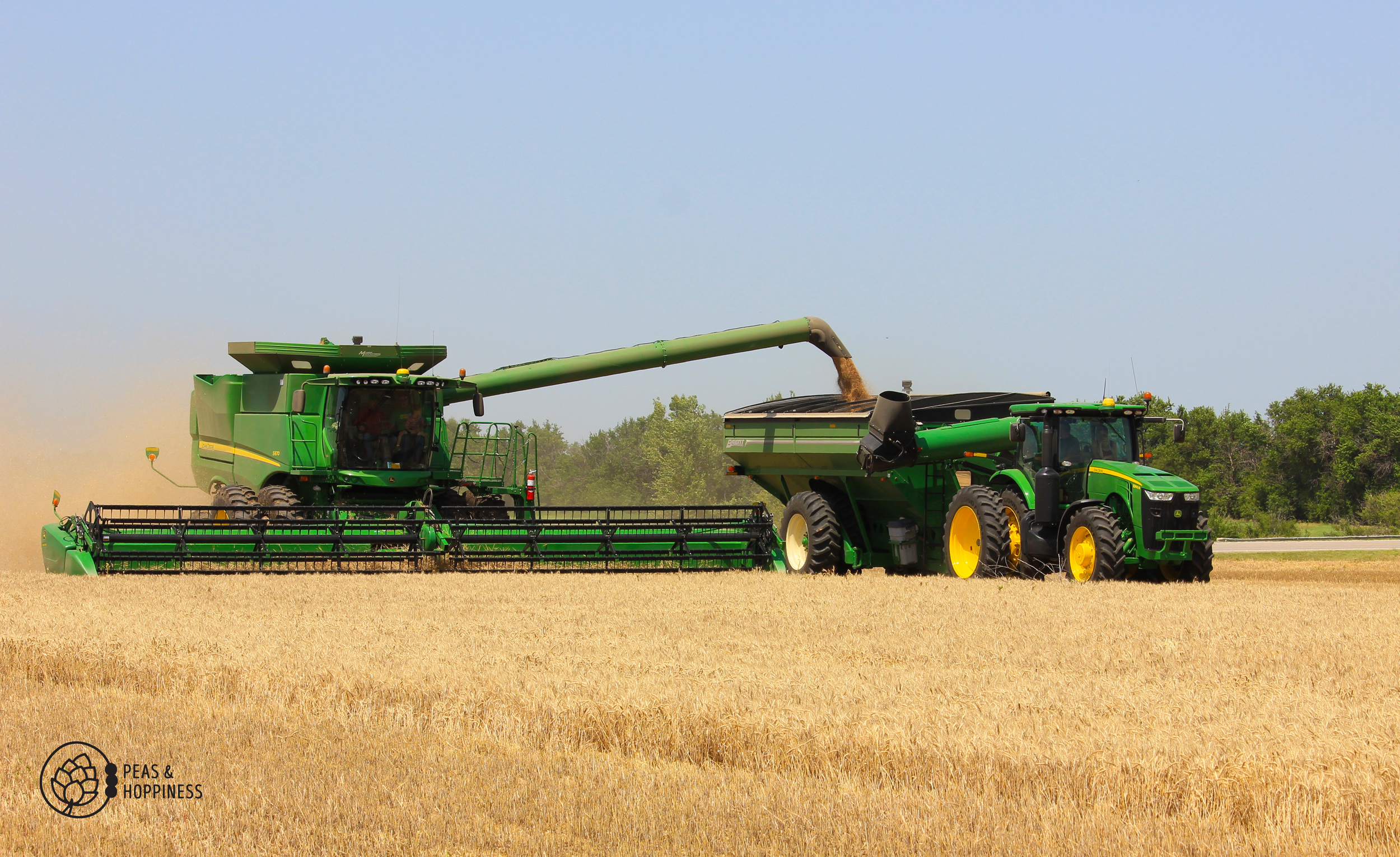 Combine unloading into the grain cart. Instead of stopping to take time to unload directly into the semi, unloading into a grain cart which then takes the grain to the semi allows Dad to continuously cut wheat without missing a beat.