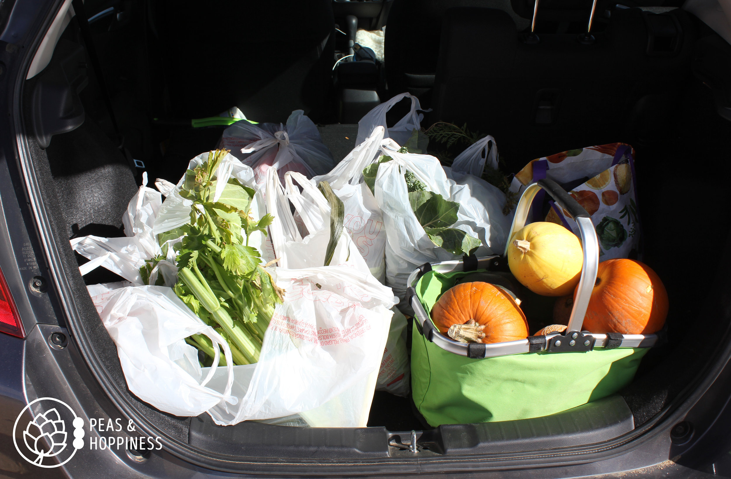 A carload of veggies from last year’s Fall Harvest Festival!