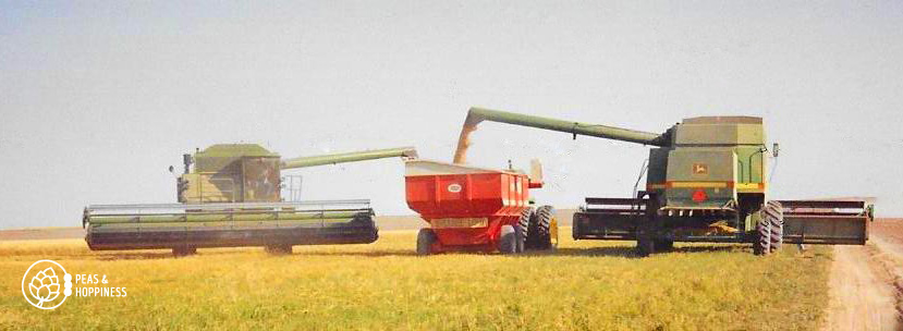 Flashback to wheat harvest 1989