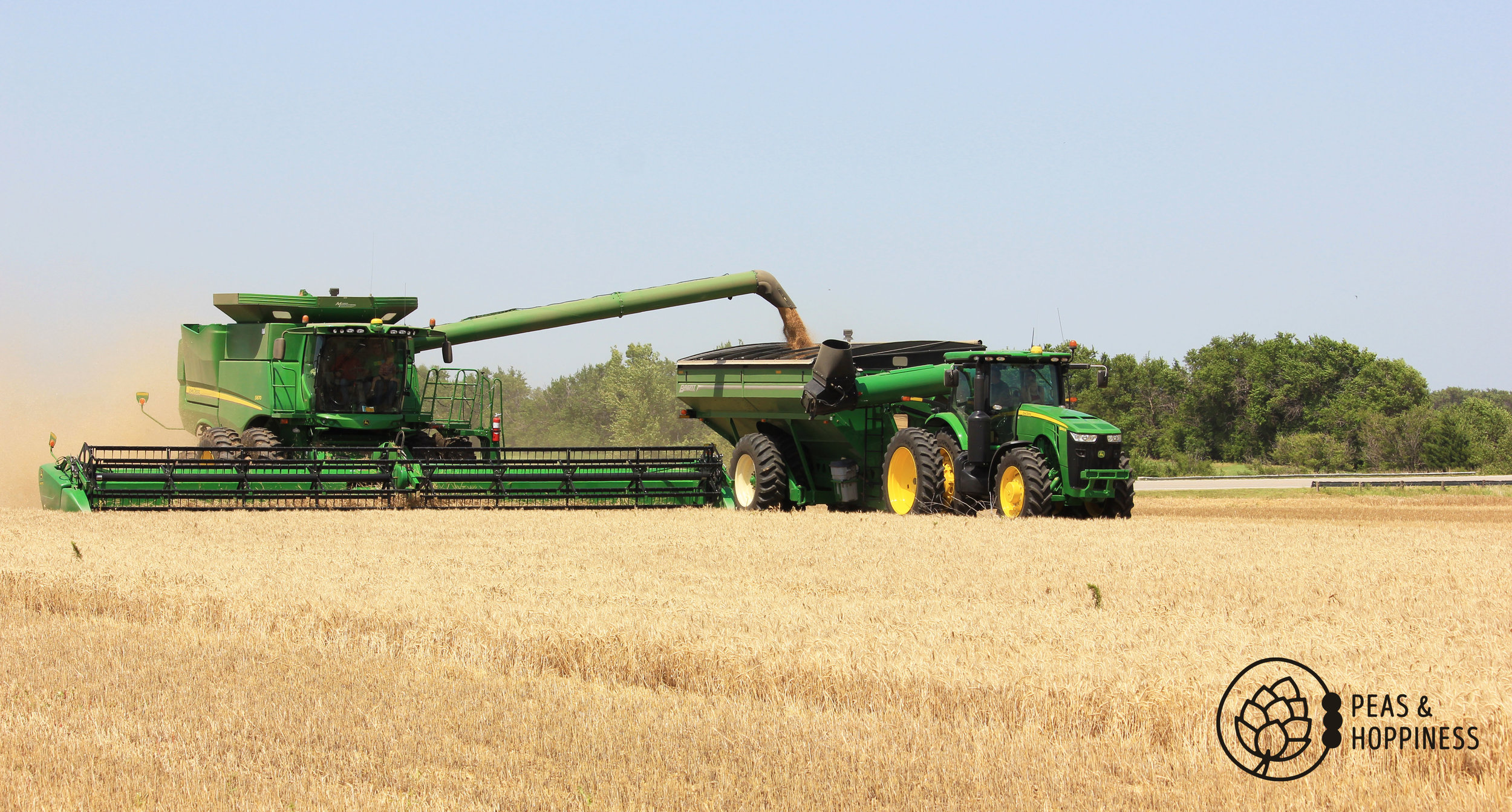 Kansas wheat harvest