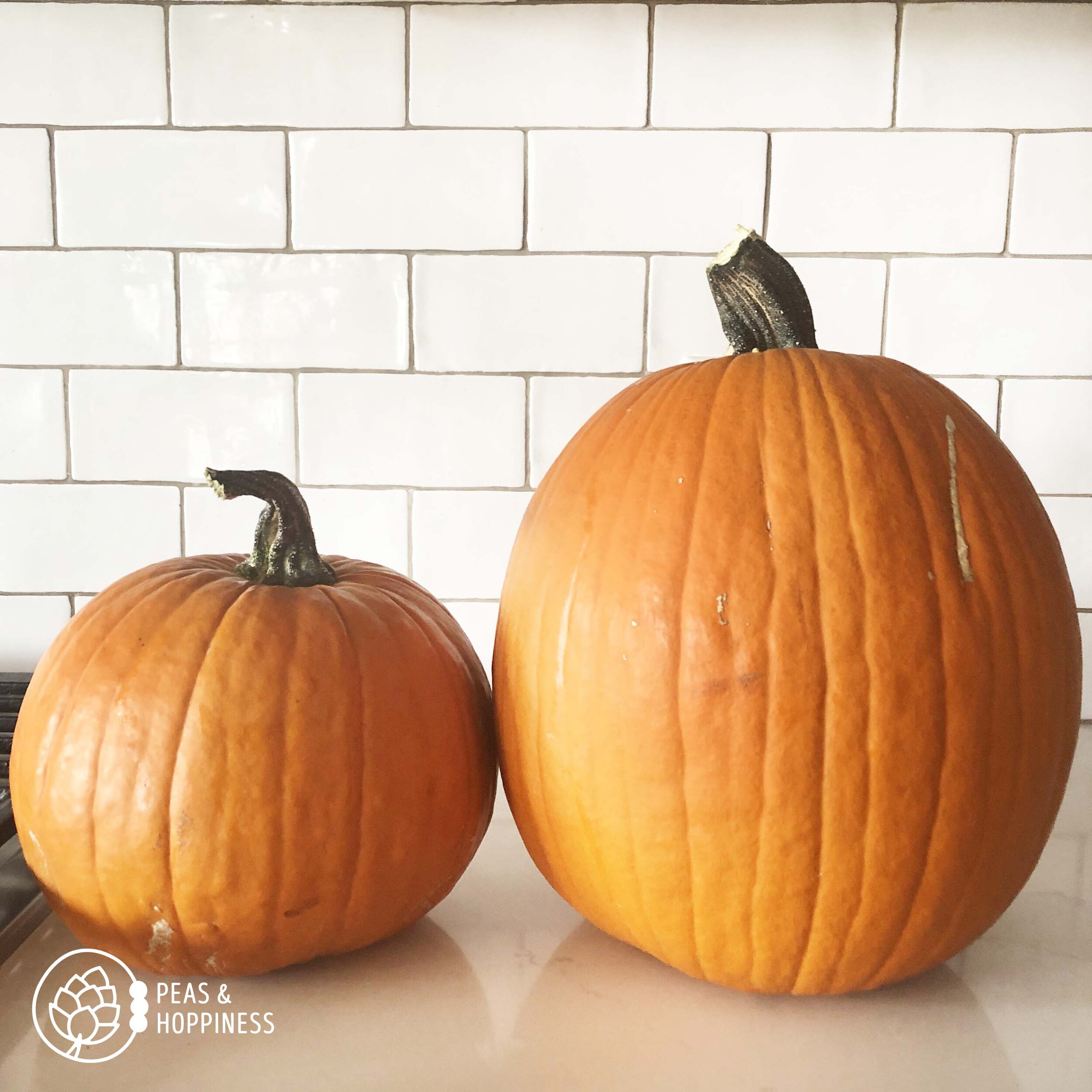 The pumpkin on the left is a pie pumpkin, which is good for cooking &amp; eating. The one on the right is better for carving and has less flesh inside so isn’t as good for eating. Learn more about pumpkins