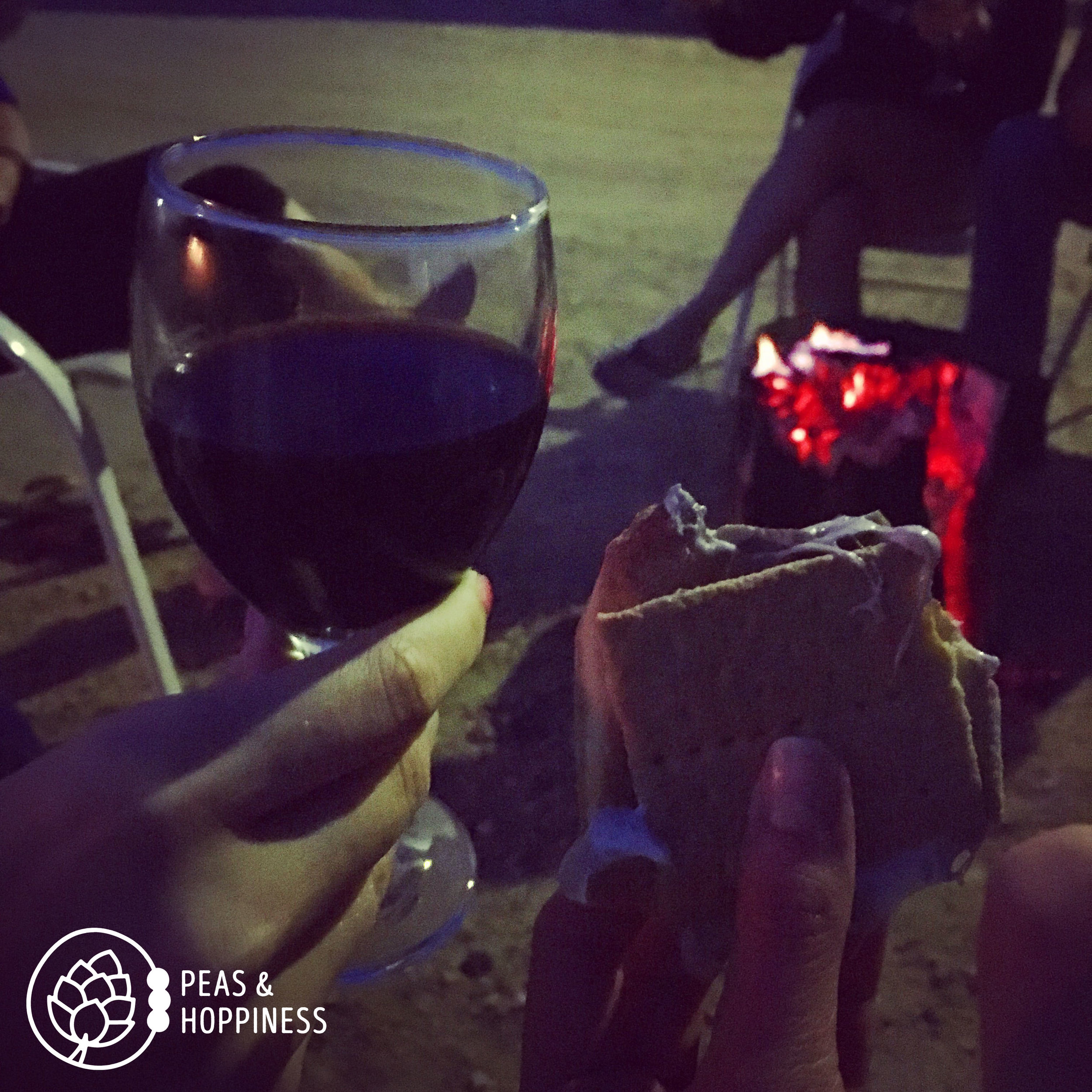 Wine + S'mores + Campfire + Friends. Sweet, sweet summertime