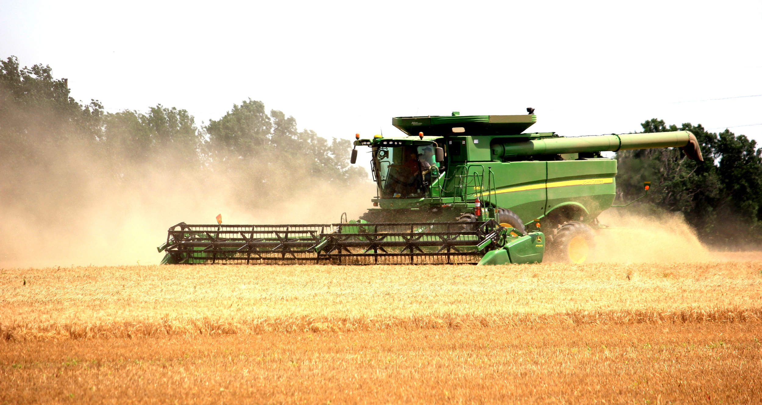 Wheat harvest 2014