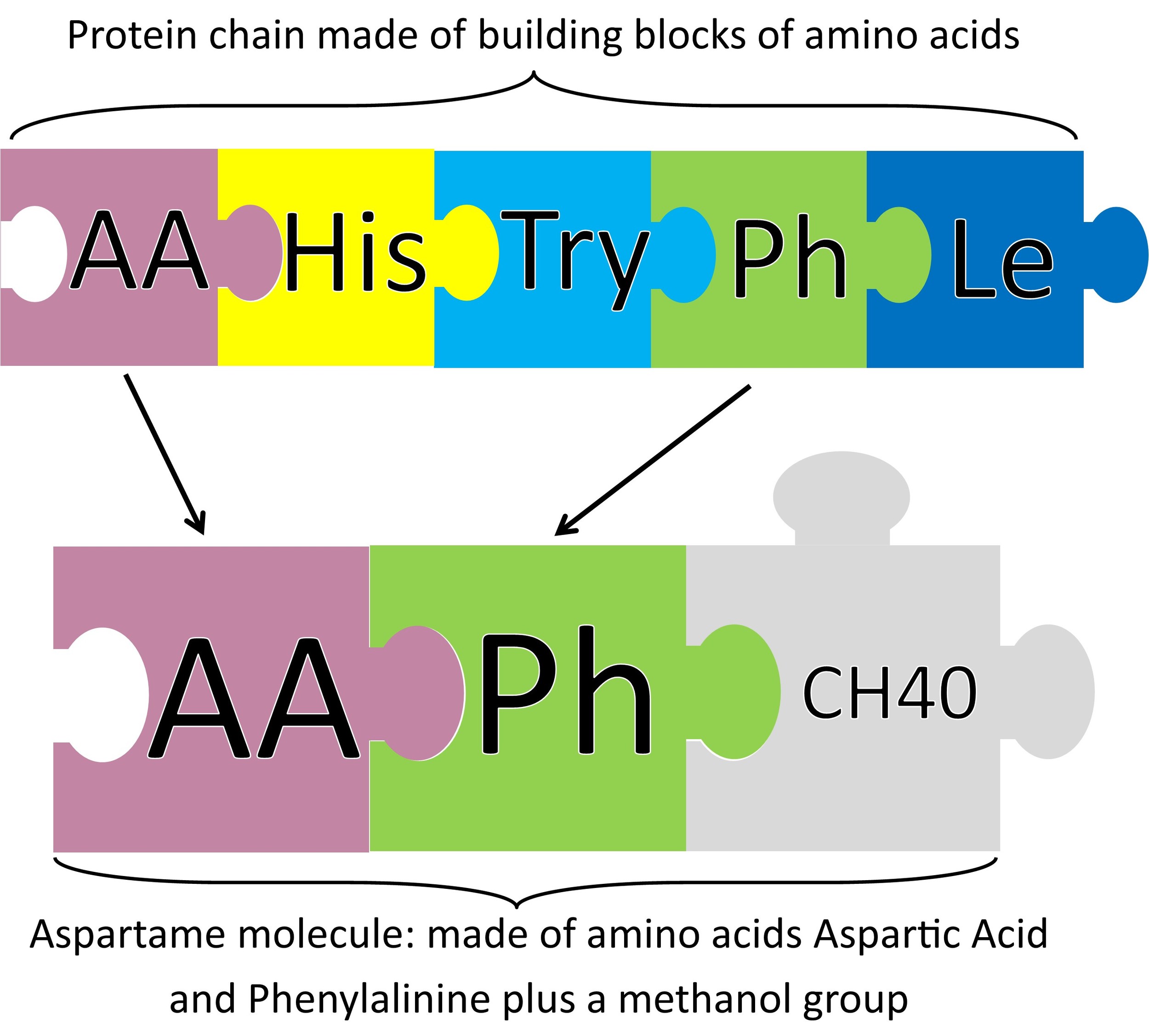 Aspartame Molecule from Peas and Hoppiness - www.peasandhoppiness.com