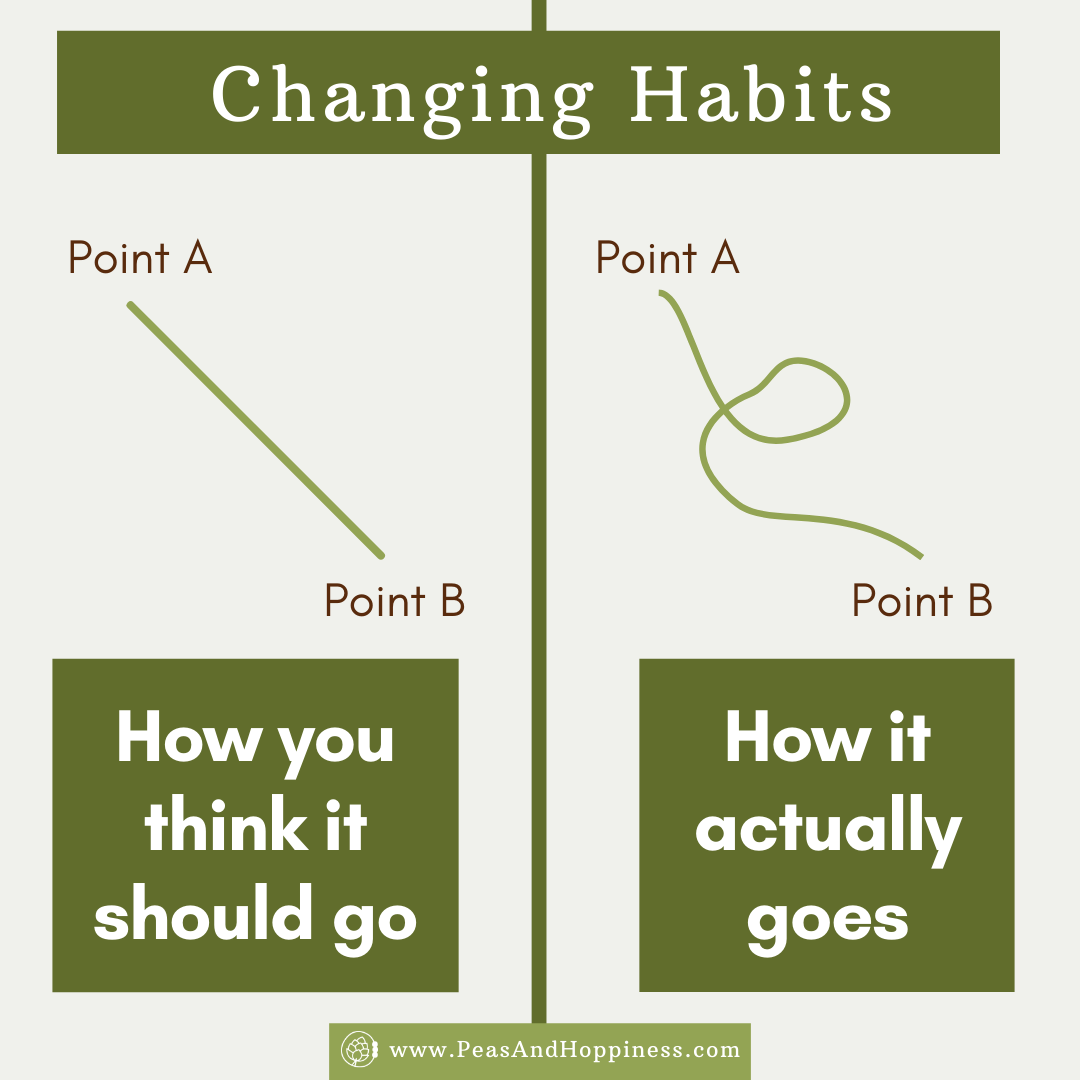 Changing Habits - How you think it should go vs how it Actually Goes - Ann Kent of Peas and Hoppiness
