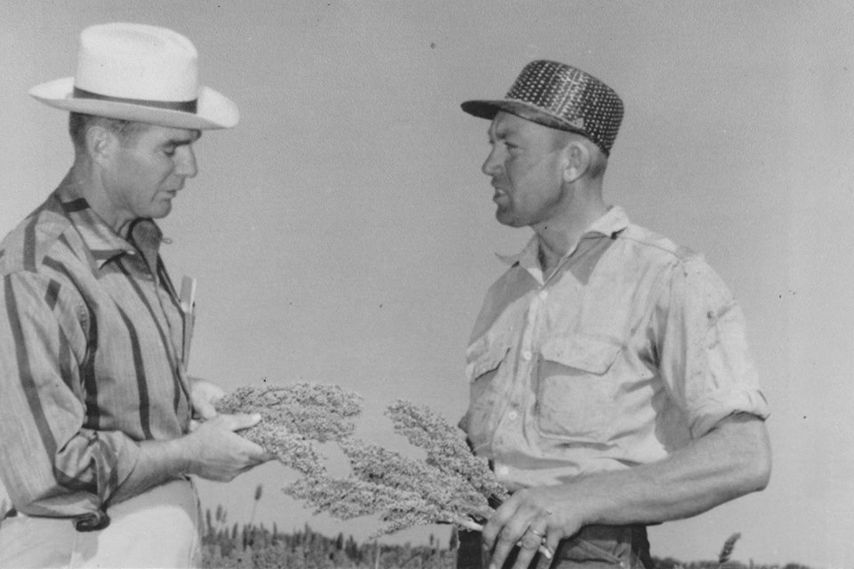 Leonard Finger, pictured on the right, holding stalks of milo