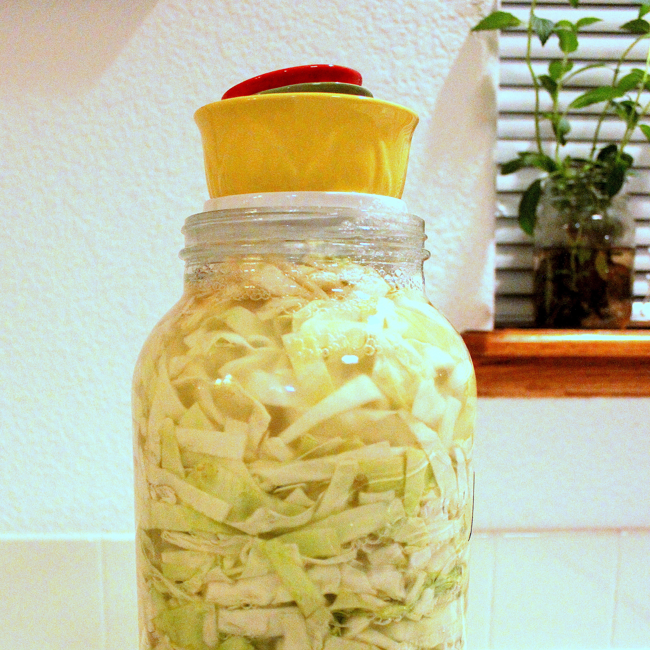 Homemade Sauerkraut from Peas and Hoppiness - www.peasandhoppiness.com