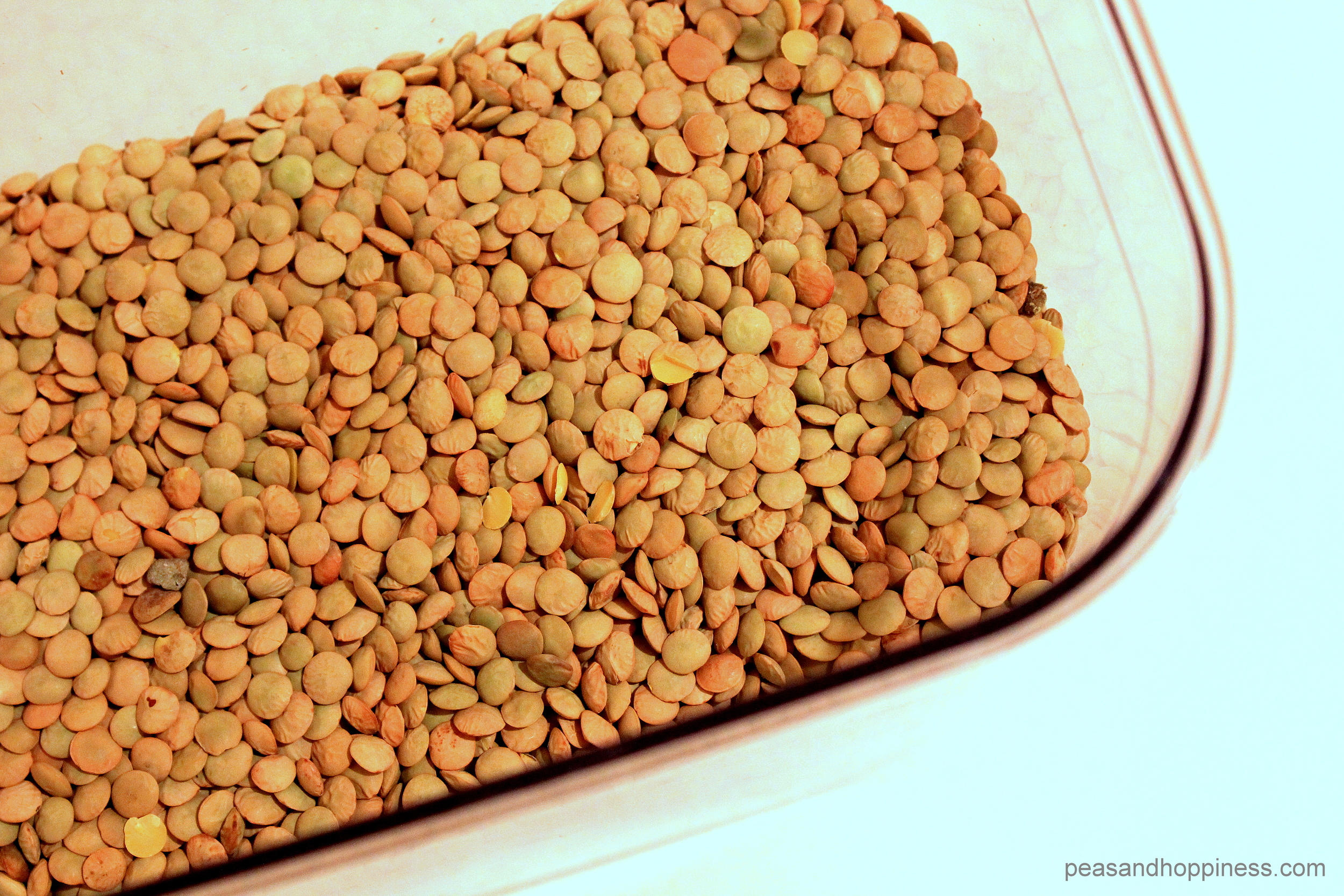 Lentils - Nitrogen from Peas and Hoppiness - www.peasandhoppiness.com