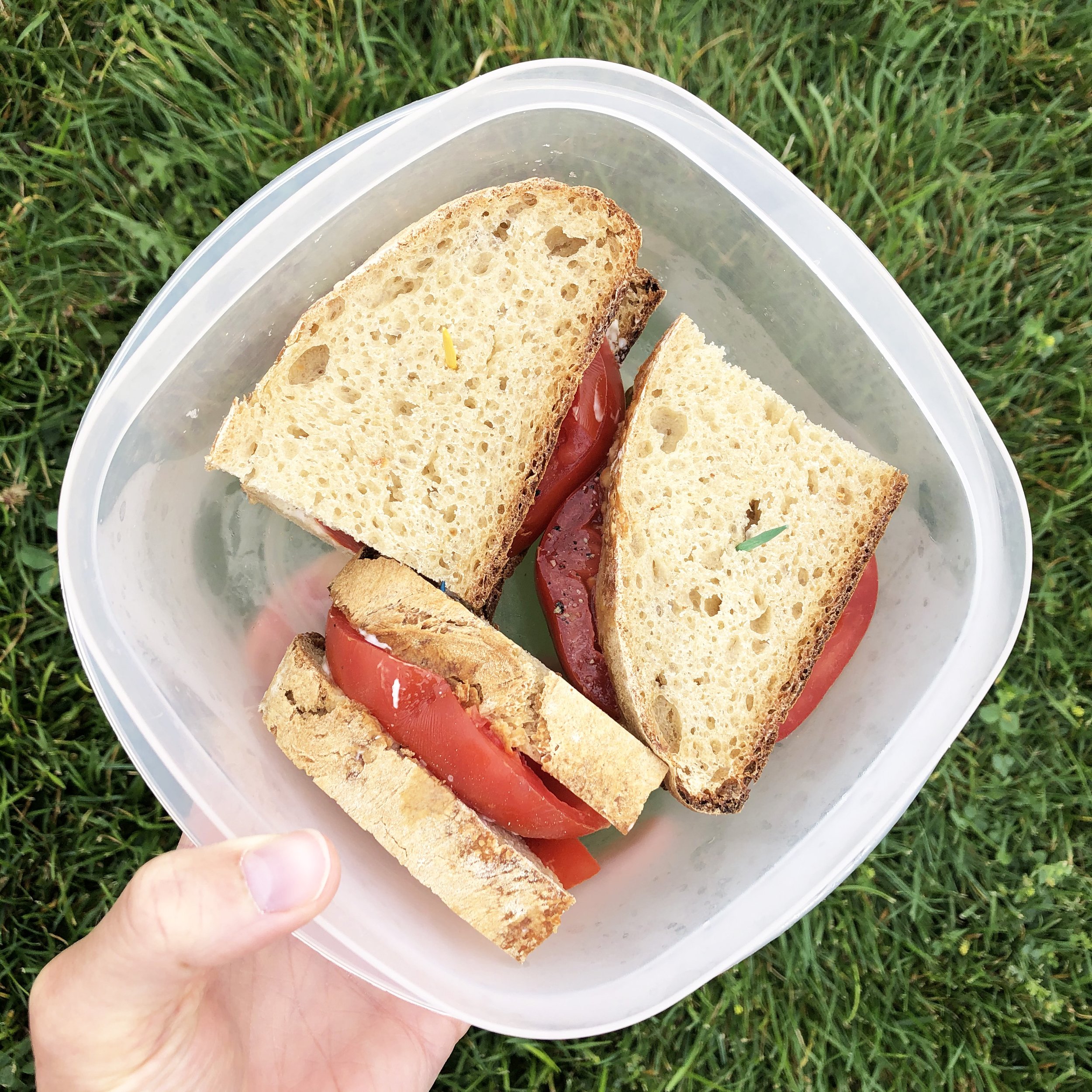 Example of seasonal eating: tomato sandwiches in the summer