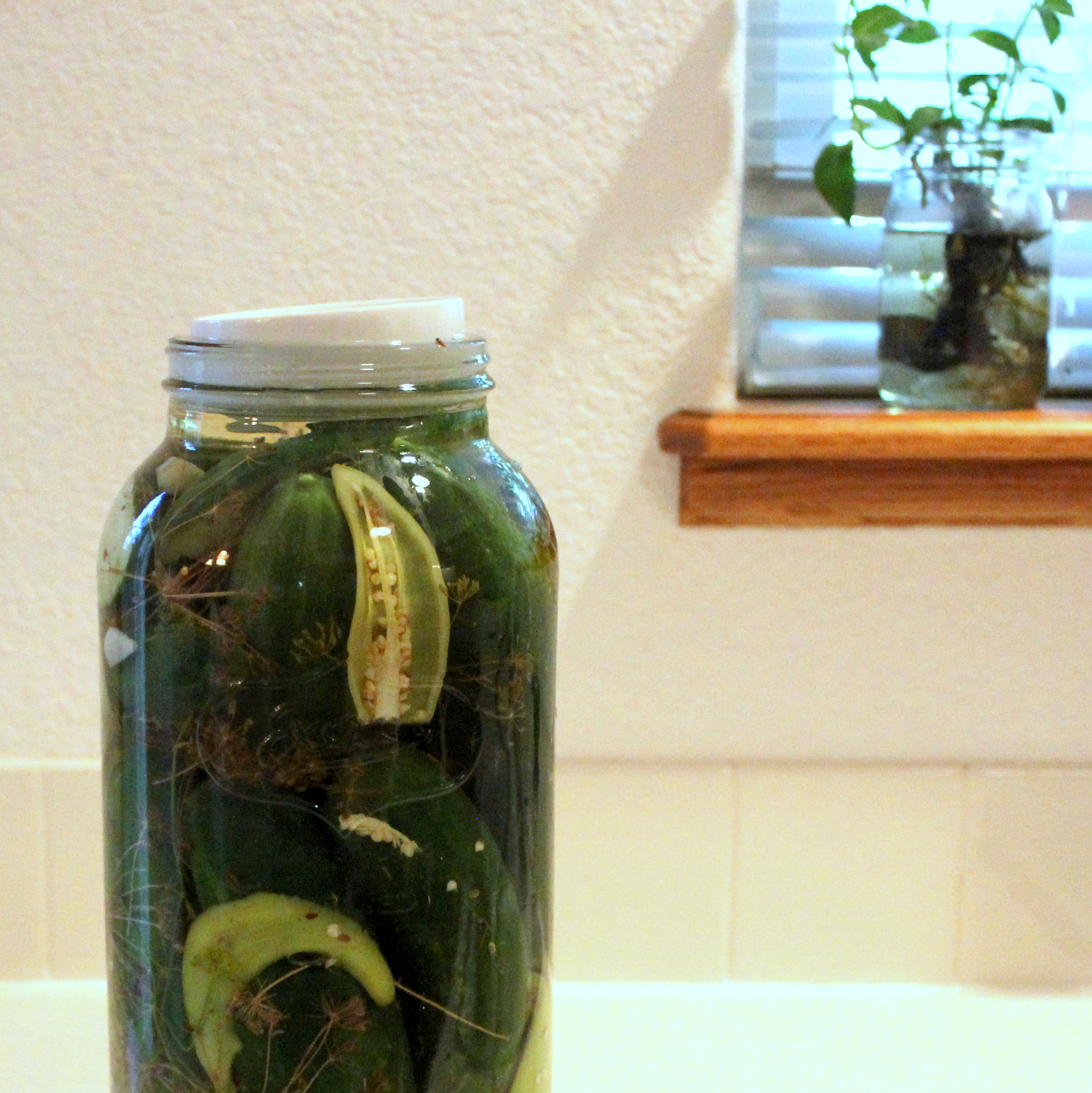 Easy Counter-Top Pickles