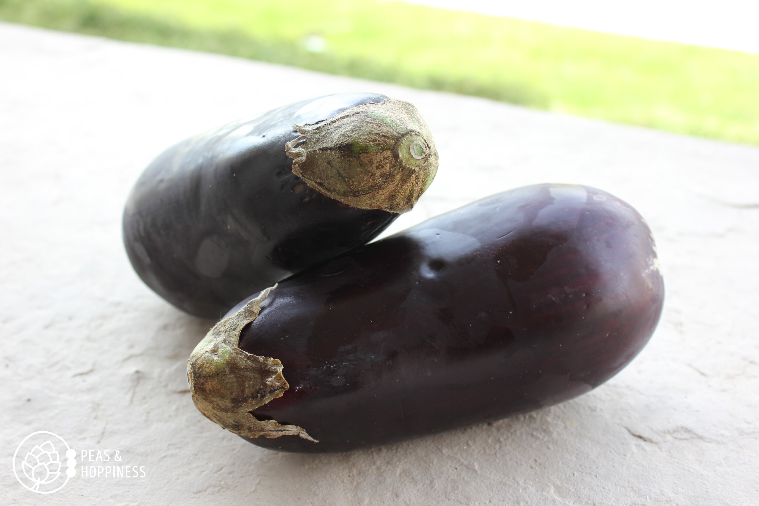 Recipe for Savory Eggplant over Rice - How to Make Eggplant Taste Good - Registered Dietitian Ann Kent of Peas and Hoppiness