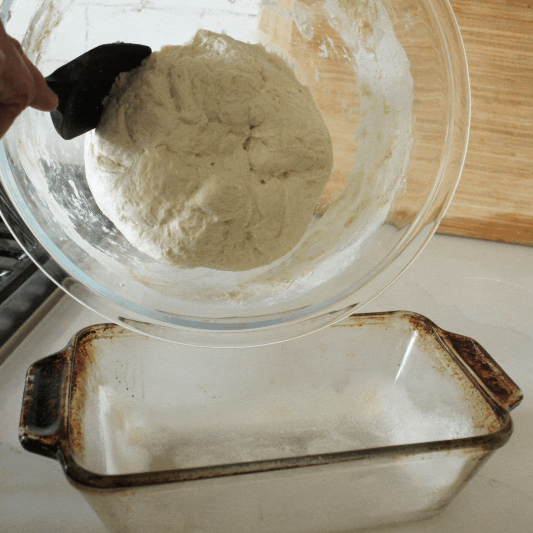 How to Make No Knead Sourdough - Transferring to Bread Pan
