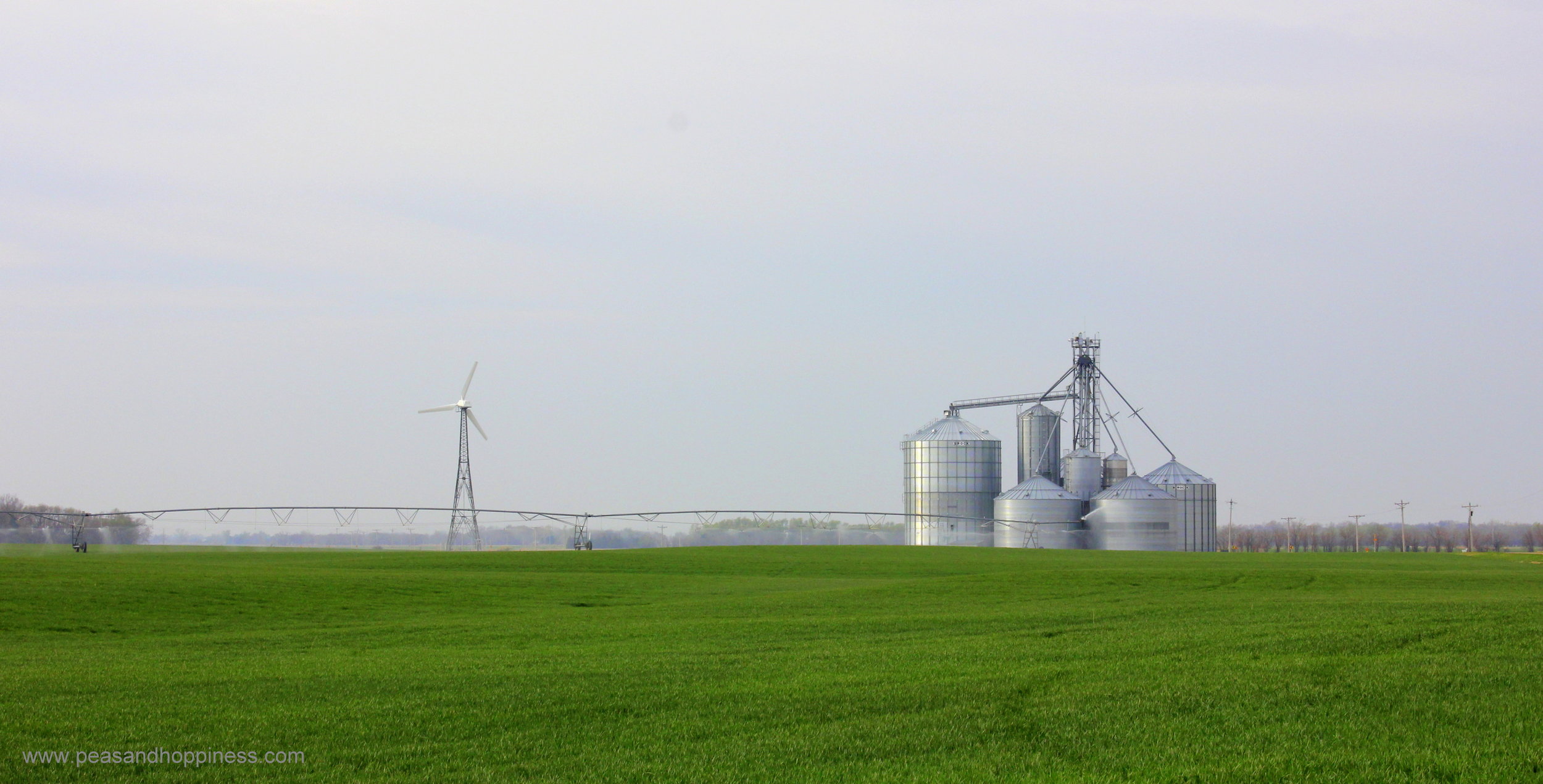 The wind turbine powers the irrigation system at Scheufler Farms