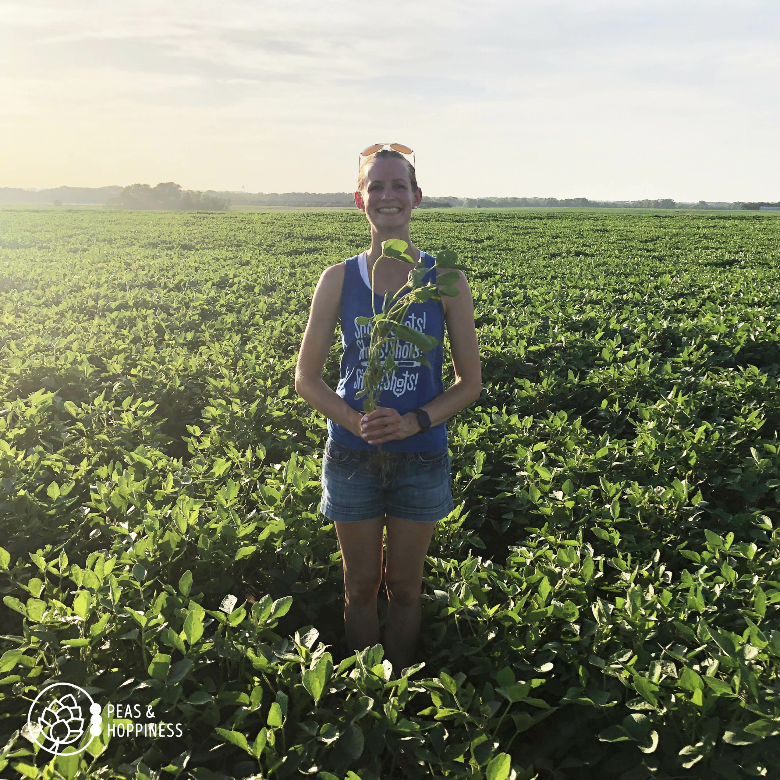 Ann Kent standing in a soybean field - the truth about the health of soy