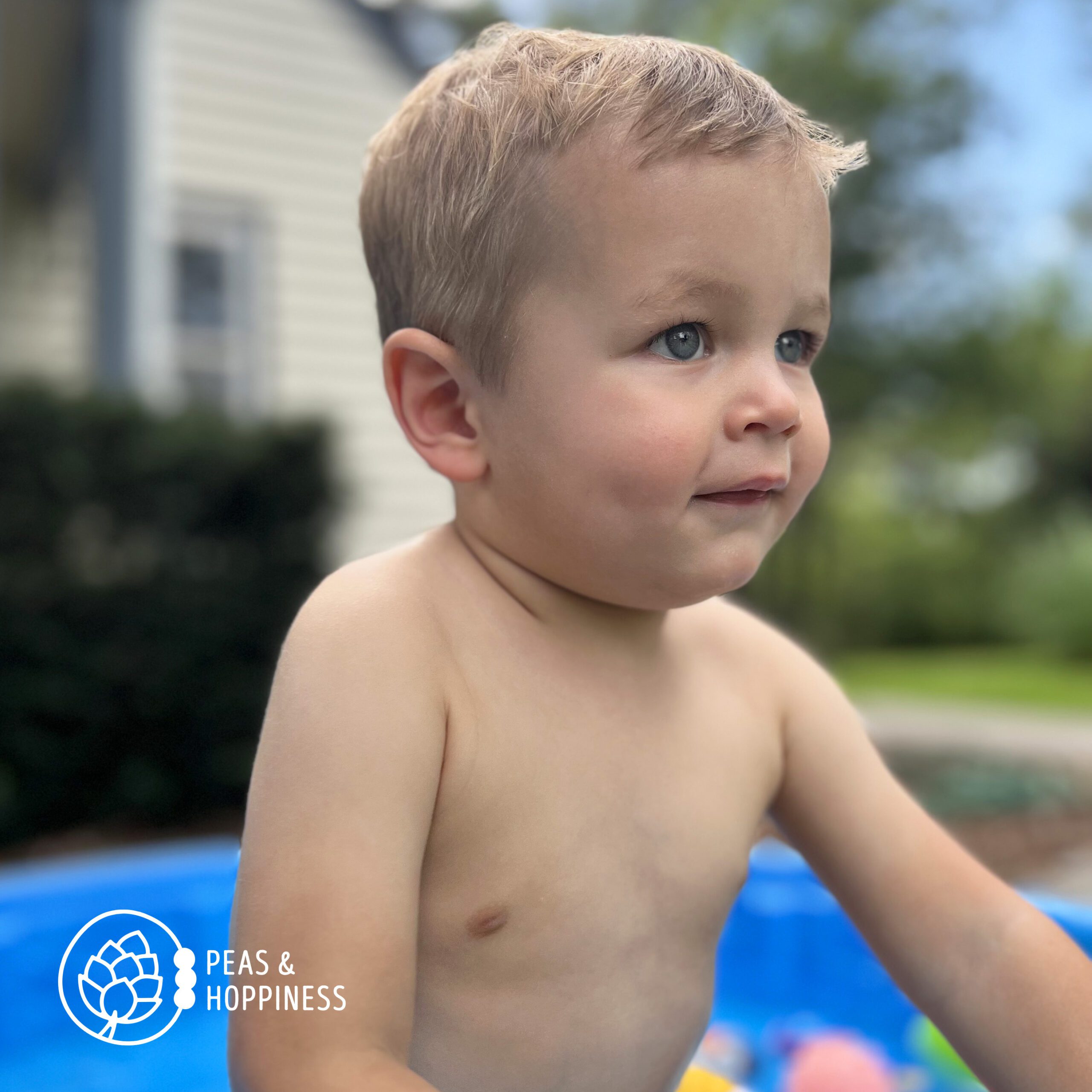 Toddler boy playing in the pool in the summertime