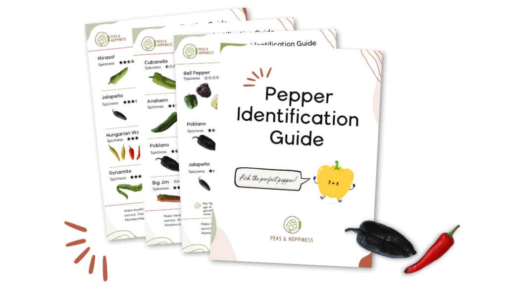 Pepper Identification Guide: Grab this guide to bring to the store or farmers’ market to pick the perfect pepper for taste, spice level, and use!