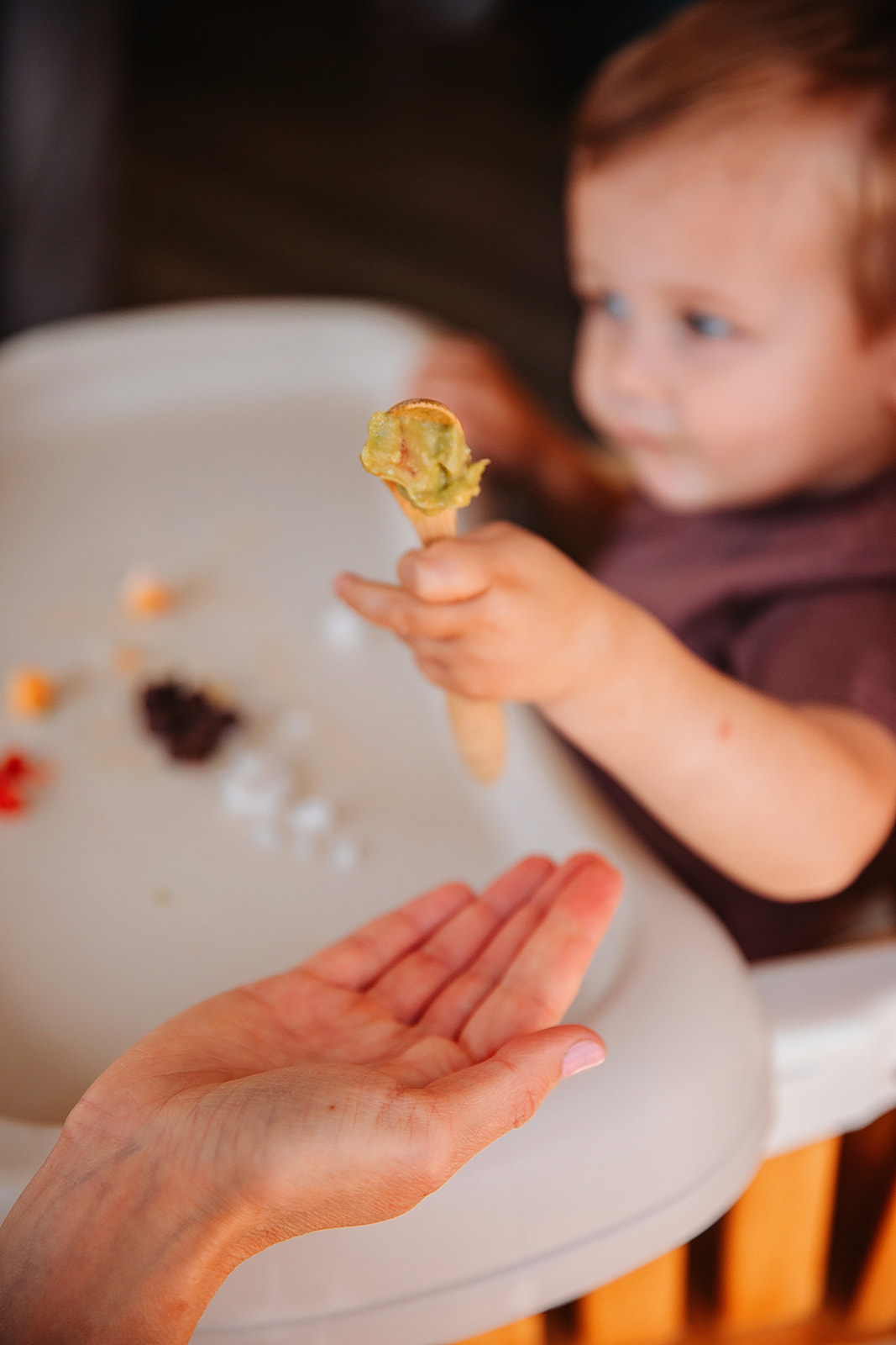 Toddler holding a spoonful of guacamole