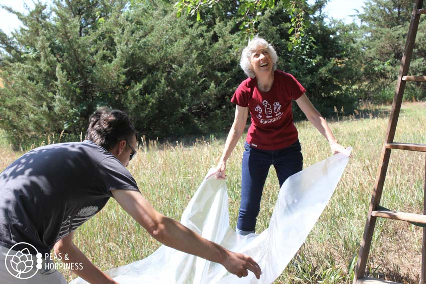 Mulberry Cobbler Recipe How to Use Mulberries