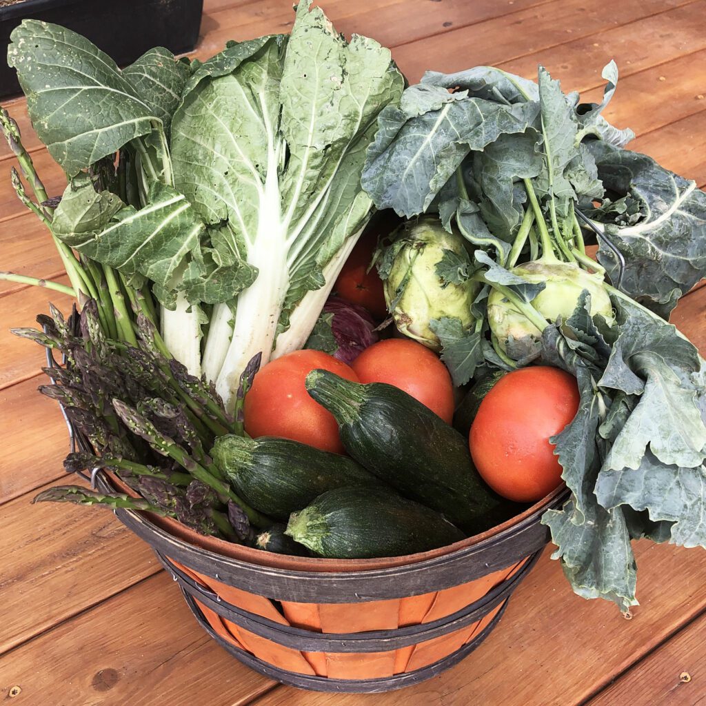 Basket of summer seasonal vegetables