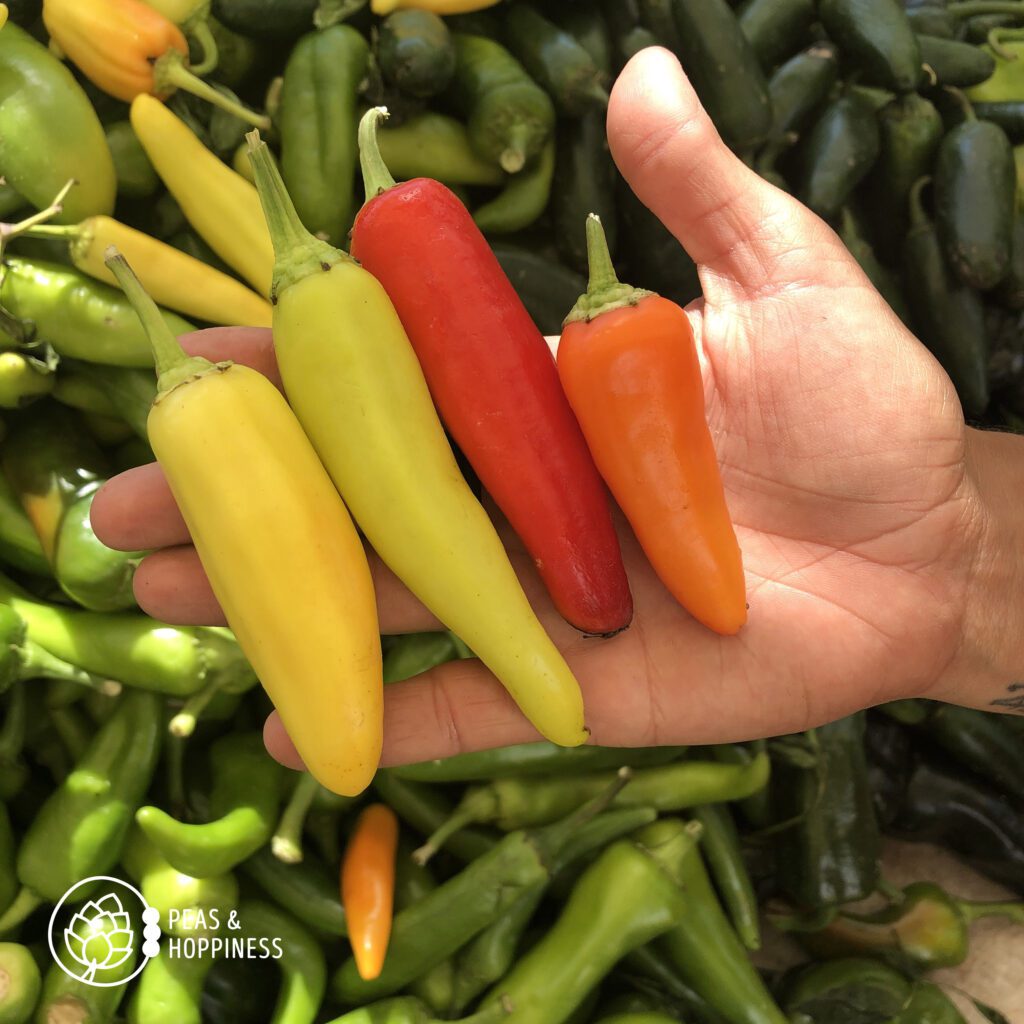 4 different colors of Hungarian wax peppers - yellow, green, red, and orange