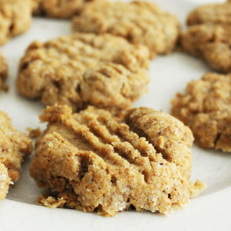 gluten-free gluten-free